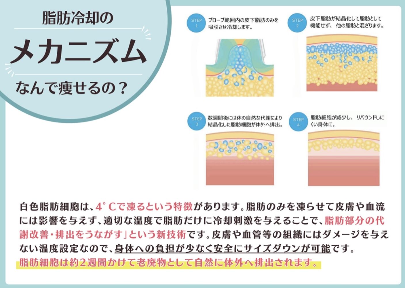 画像19961
