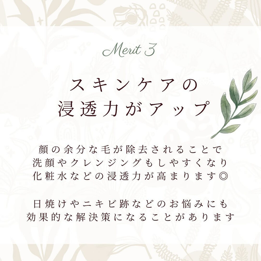 ブログ